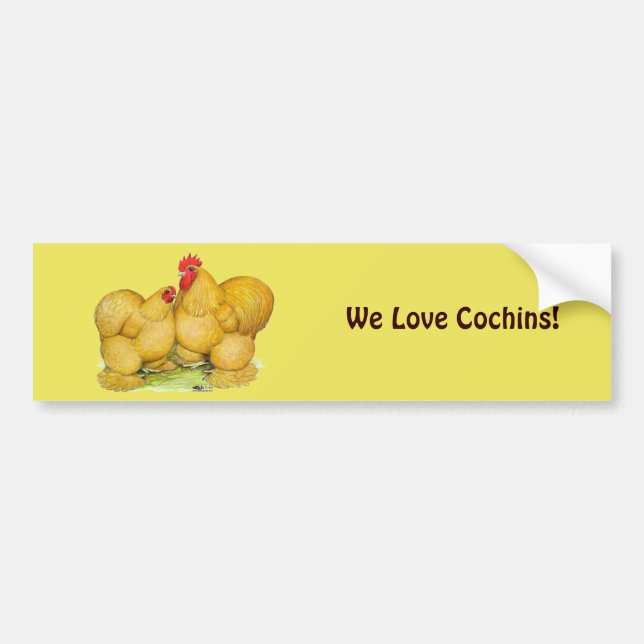 Adesivo Para Carro Cochins Buff Pair (Frente)