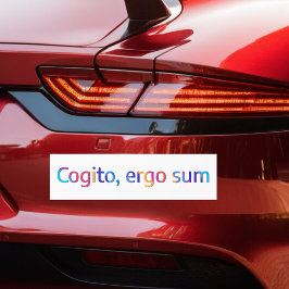 Adesivo Para Carro Cogito Ergo Sum Citação de Filosofia Colorida