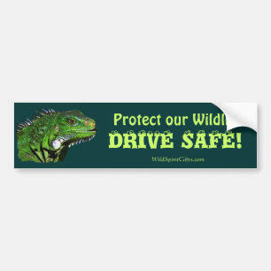 Adesivo Para Carro Coleção Green Iguana
