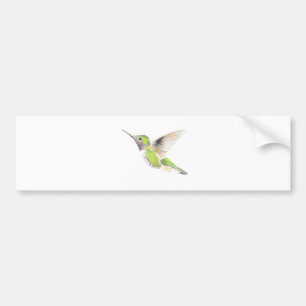 Adesivo Para Carro Colibri