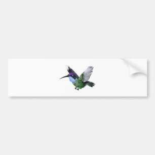 Adesivo Para Carro Colibri magnífico