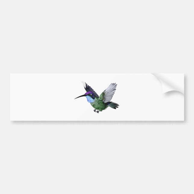 Adesivo Para Carro Colibri magnífico (Frente)