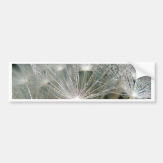 Adesivo Para Carro Colírio brilhante num dandelion branco