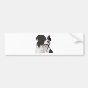 Adesivo Para Carro Collie preto e branco com olhos de Brown