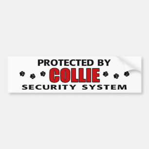 Adesivo Para Carro Collie Security