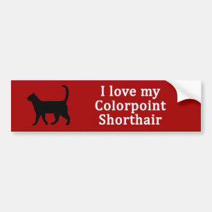 Adesivo Para Carro Colorpoint Shorthair Love
