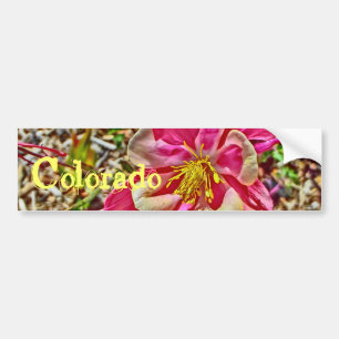 Adesivo Para Carro Columbina rosa para-choques do Colorado