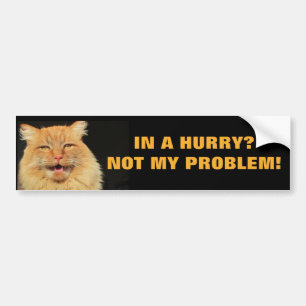 Adesivo Para Carro Com pressa? Não meu gato Meme do problema
