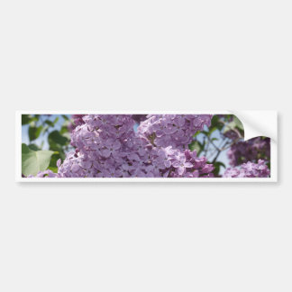 Adesivo Para Carro Conjunto do Lilac