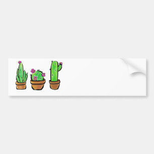 Adesivo Para Carro Cores cactus cactos suculentos
