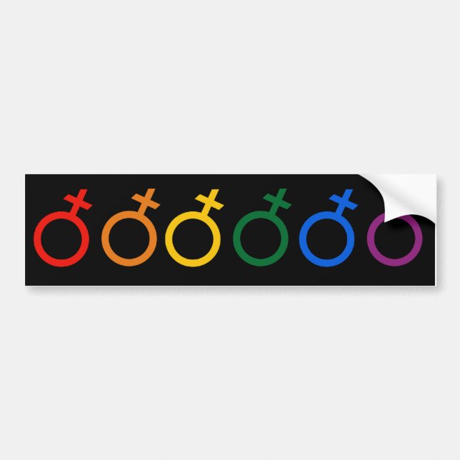 ADESIVO PARA CARRO CORES DO ORGULHO FEMININO (Frente)