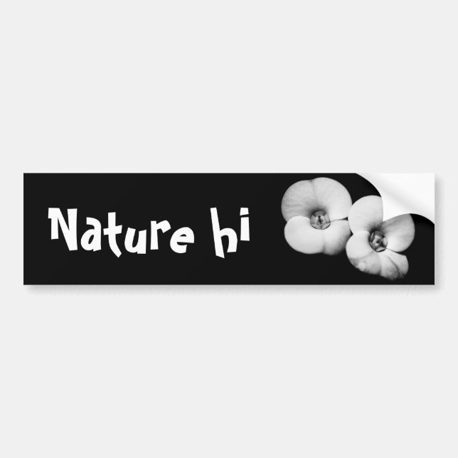 Adesivo Para Carro coroa de espinhos (Frente)