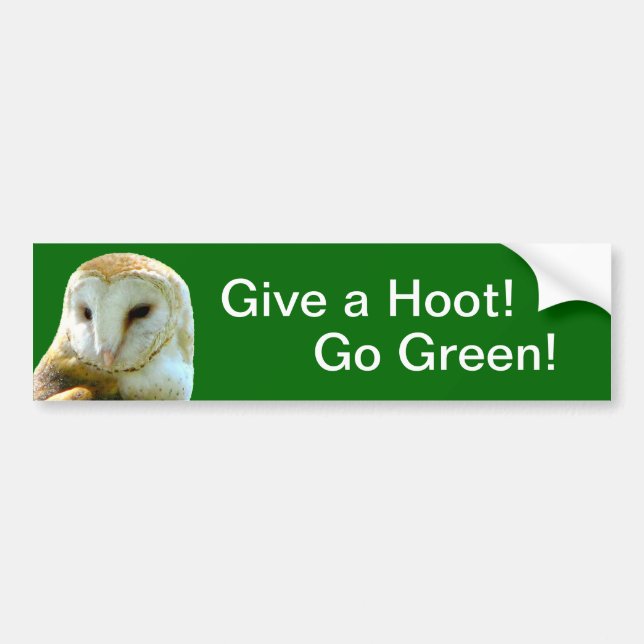 Adesivo Para Carro Coruja Dê Hoot (Frente)