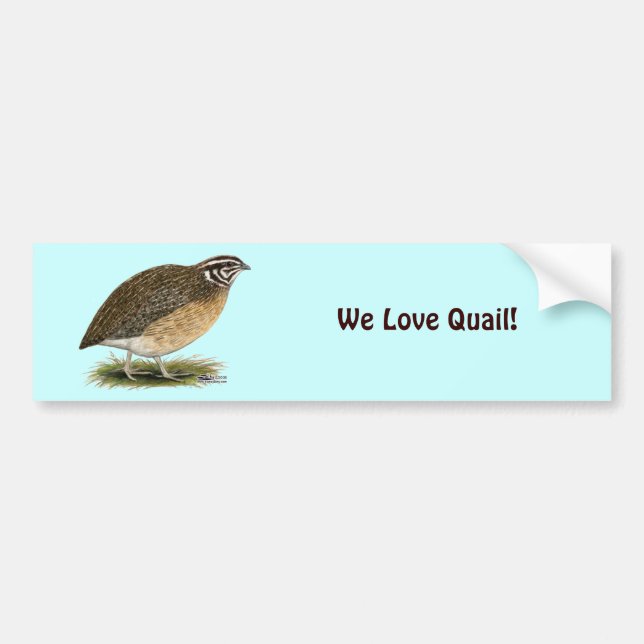 Adesivo Para Carro Coturnix Pharaoh Quail (Frente)
