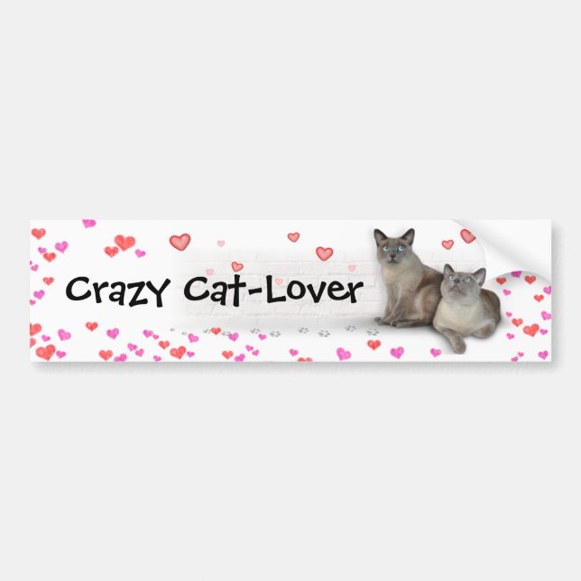 Adesivo Para Carro Crazy Cat-Lover (Frente)