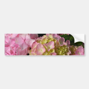 Adesivo Para Carro Creme cor-de-rosa Hydrangeas amarelas cor-de-rosa