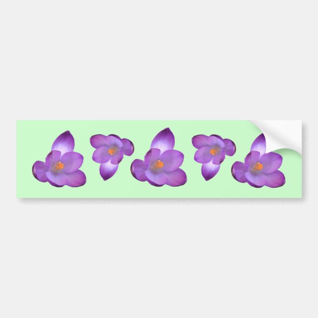 Adesivo Para Carro Crocus 1, Crocus 1, Crocus 1, Crocus 1, Crocus 1 (Frente)