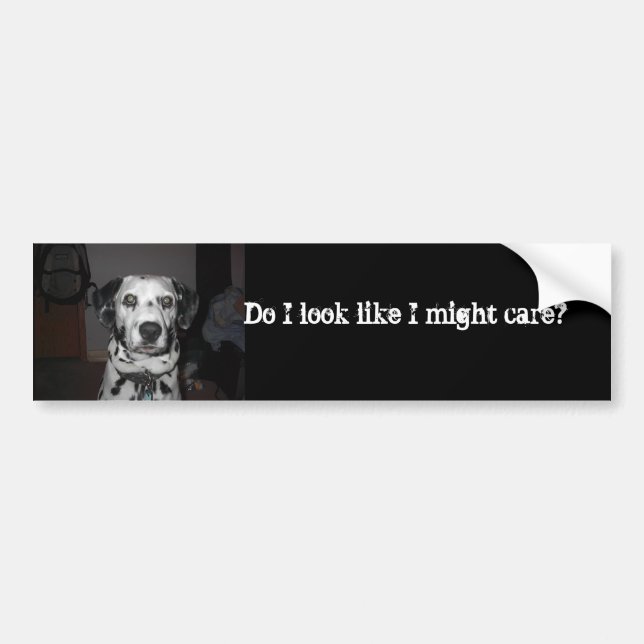 Adesivo Para Carro Cuidado dos Dalmatians (Frente)