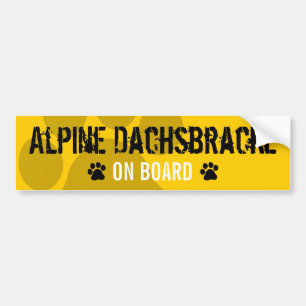 Adesivo Para Carro Dachsbracke alpino a bordo