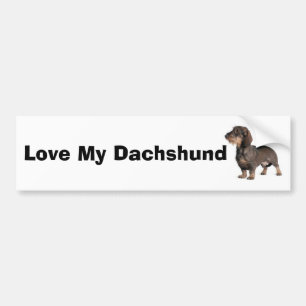 Adesivo Para Carro Dachshund
