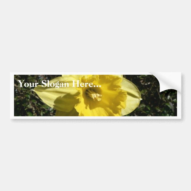 Adesivo Para Carro Daffodil da flor (Frente)