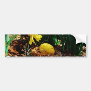 Adesivo Para Carro Daffodils Amarelos e um ovo de Páscoa Amarelo