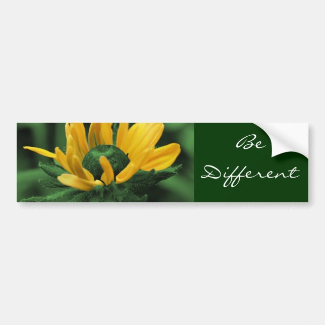 Adesivo Para Carro Daisy Be Differational Bumper Sticker (Frente)