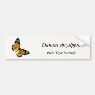 Adesivo Para Carro Danaus chrysippus - Plain Tiger ou African Queen