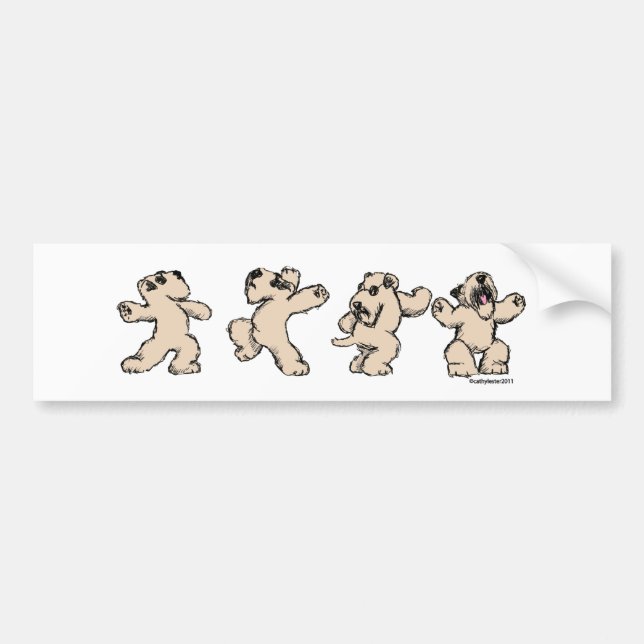 Adesivo Para Carro Dança SCWT (Frente)