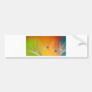Adesivo Para Carro Dandelion Blossoms Flores Destino Paz Amor Arte