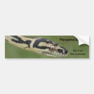 Adesivo Para Carro DARWIN2, Herpetologists, fazem-no no verão