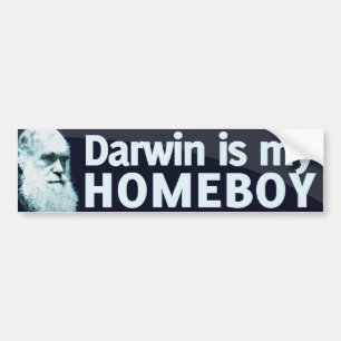 Adesivo Para Carro Darwin é meu ficar em casa