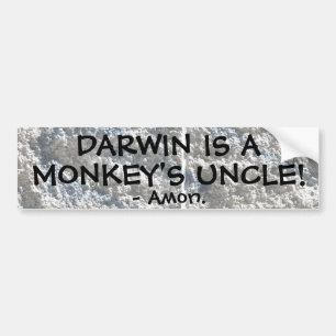 Adesivo Para Carro Darwin é o tio de um macaco!