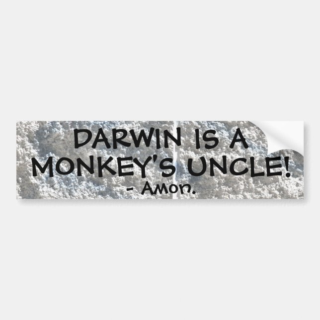 Adesivo Para Carro Darwin é o tio de um macaco! (Frente)