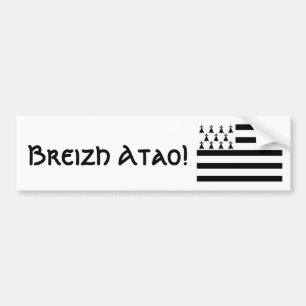 Adesivo Para Carro De Brittany autocolante no vidro traseiro para
