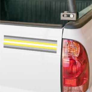 Adesivo Para Carro Demigender Pride
