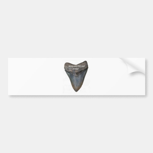 Adesivo Para Carro Dente do tubarão de Megalodon (Frente)