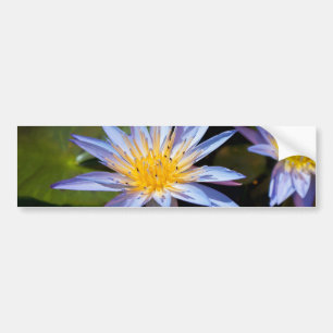 Adesivo Para Carro Desenho Botânico Floral de Nenúfar Tropical