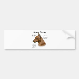 Adesivo Para Carro Design de História de Pinscher Alemão