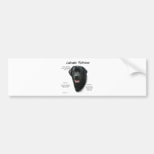 Adesivo Para Carro Design de História do Labrador Retriever (preto)