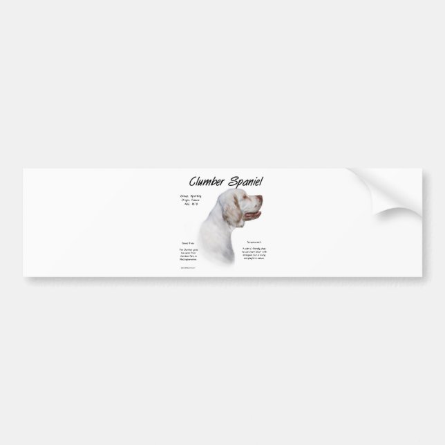 Adesivo Para Carro Design de Histórico de Espanhol Clumber (Frente)