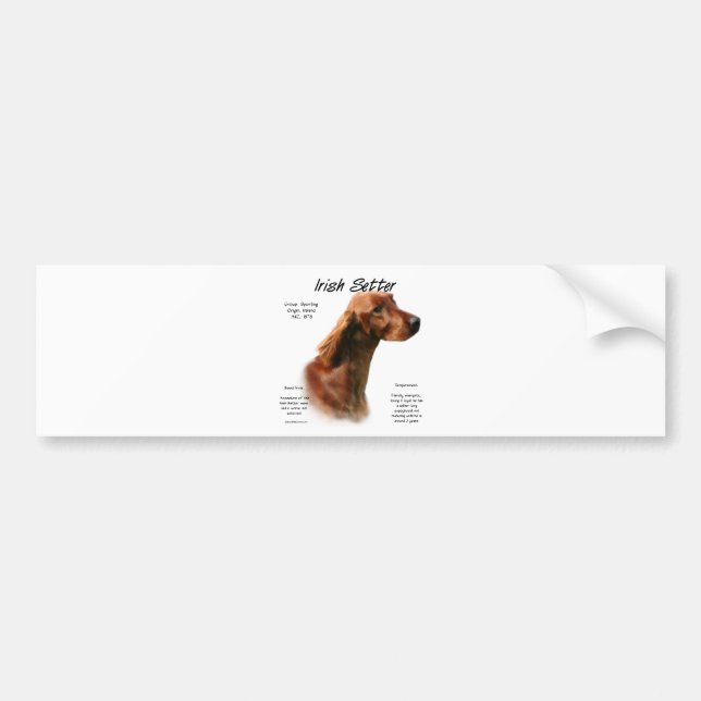 Adesivo Para Carro Design do Irish Setter History (Frente)