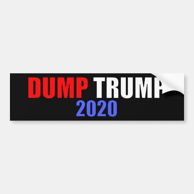 Adesivo Para Carro Despejar Trump 2020 Anti-Trump (Frente)