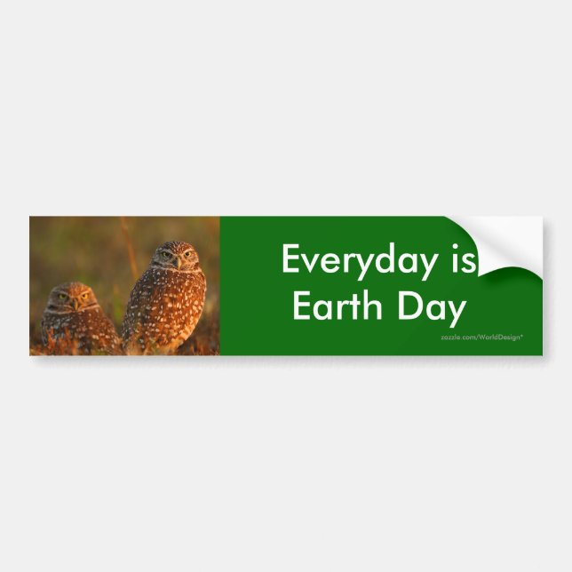 Adesivo Para Carro Dia da Terra (Frente)