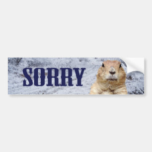 Adesivo Para Carro Dia de Groundhog Desculpe