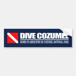 Adesivo Para Carro Dive Cozumel DF2