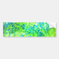 Do "peixes" - Mahi Mahi golfinho por PatternWear©