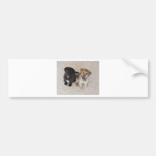 Adesivo Para Carro Dois Cute Labrador Puppies