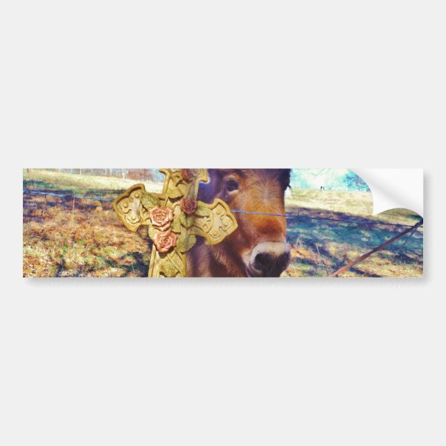 Adesivo Para Carro Donkey com Rosa Cross (Frente)