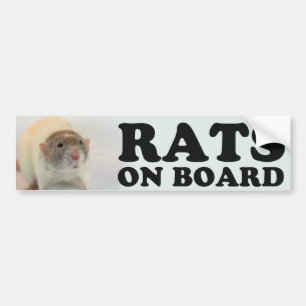 Adesivo Para Carro (Dove) Rats on board